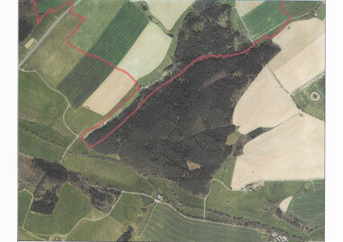 Forstwirtschaft zum Kauf 19.830 m² Grundstück Leitlitz Zeulenroda-Triebes 07937