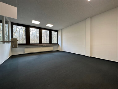 Bürogebäude zur Miete 10 € 258 m² Bürofläche Stockstadt am Main 63811