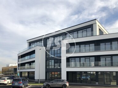 Bürofläche zur Miete provisionsfrei 10,75 € 549 m² Bürofläche Mary-Anderson-Straße 6 Roisdorf Bornheim 53332