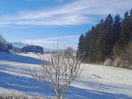 Einfamilienhaus zum Kauf provisionsfrei 1.200.000 € 7 Zimmer 194 m² 722 m² Grundstück Sulzberg 87477