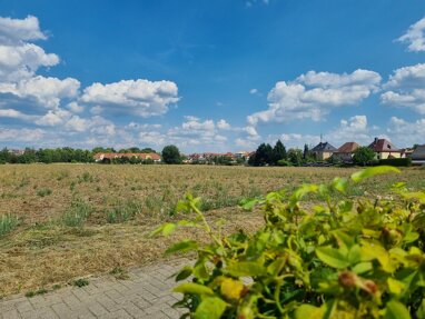 Grundstück zum Kauf 6.800 € 906 m² Grundstück Forst-Stadt Forst (Lausitz) 03149
