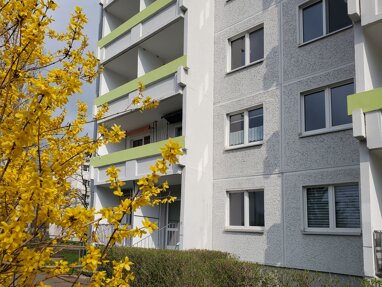 Wohnung zur Miete 376,77 € 2 Zimmer 57 m² 1. Geschoss Weißenfelser Straße 29 Silberhöhe Halle (Saale) 06132
