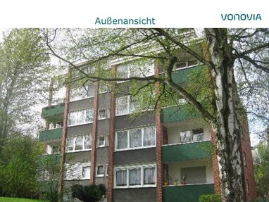 Wohnung zur Miete 445 € 2,5 Zimmer 50 m² 2. Geschoss Am Teichstück 44 Schonnebeck Essen 45309