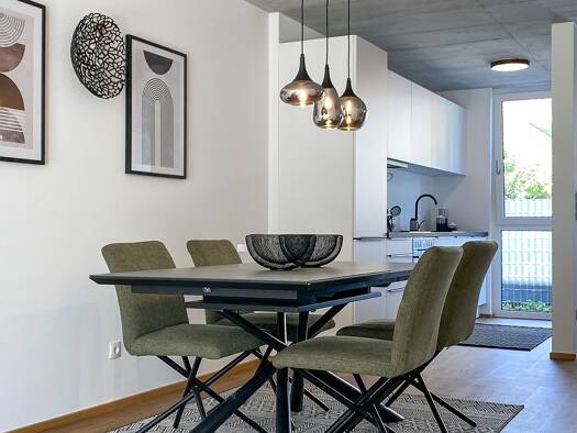 Fertig- und Musterhäuser zum Kauf Binsenfeld 8 f-m Lustenau 6890