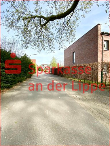 Wohnung zum Kauf 125.000 € 2 Zimmer 57,9 m² Bork Selm 59379
