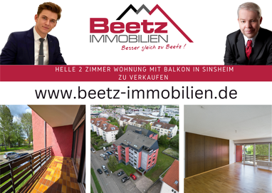 Wohnung zum Kauf 199.000 € 2 Zimmer 69 m² Sinsheim Sinsheim , Elsenz 74889